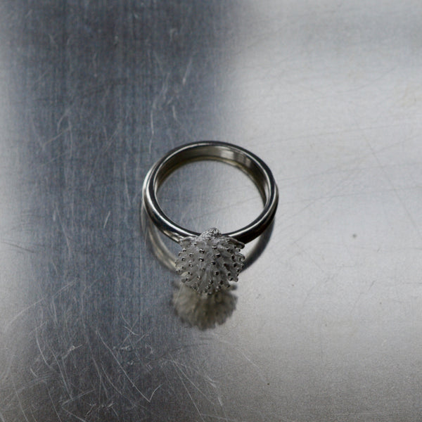 Siili - hopea sormus