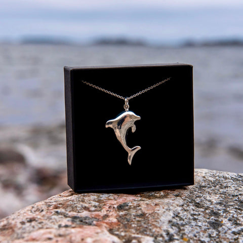 Delfiini - hopeariipus - meren ystävä