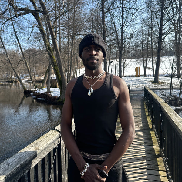 Tuli - hopeariipus - iso