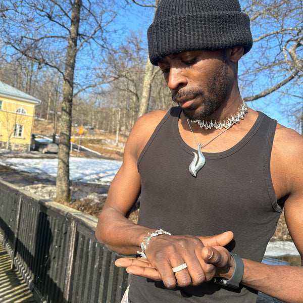 Tuli - hopeariipus - iso