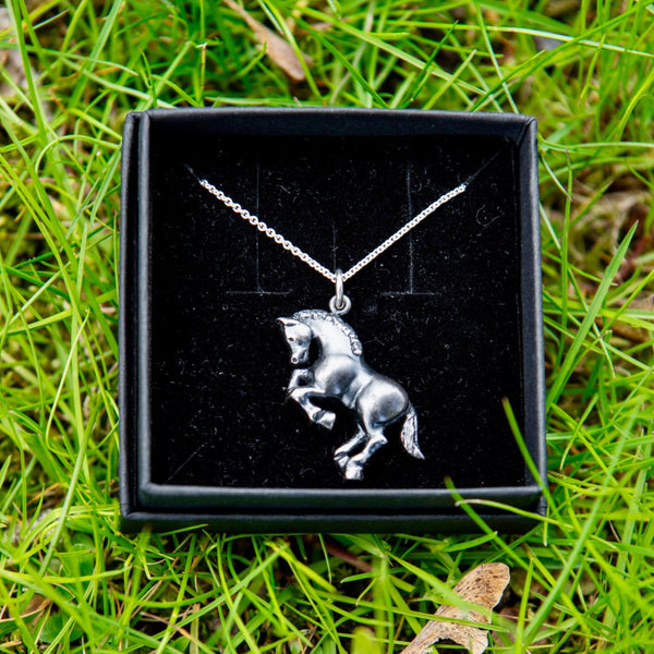Hevonen / Horse